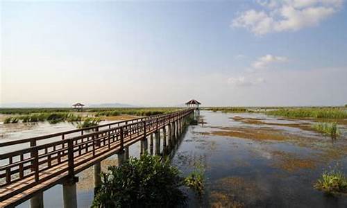 崇明岛旅游攻略景点必去免费吗,崇明岛旅游攻略景点必去免费吗现