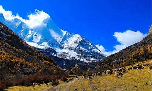 稻城亚丁旅游攻略自由行攻略_稻城亚丁旅游攻略自驾游