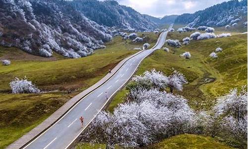 武隆旅游攻略仙女山路线_重庆武隆旅游景点