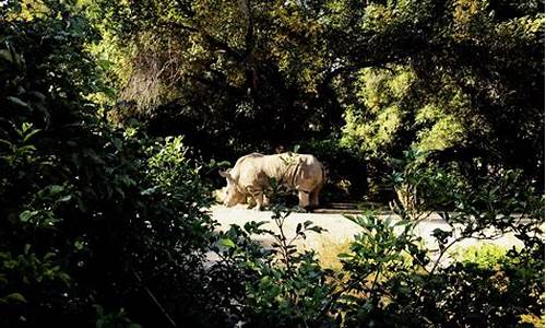 动植物公园几点开门儿?,动植物公园几点开门