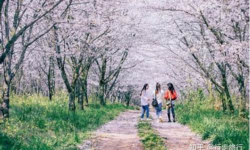 春季旅游攻略景点大全,春季旅游攻略景点大全图片