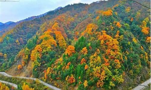 光雾山旅游攻略自驾游两天,光雾山旅游攻略自驾游两天多少钱