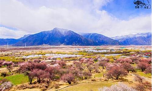 林芝旅游攻略必玩的景点推荐理由,林芝旅游旅游攻略