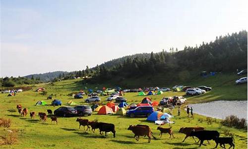 仙女山旅游一日游线路_仙女山攻略一日游需要带什么