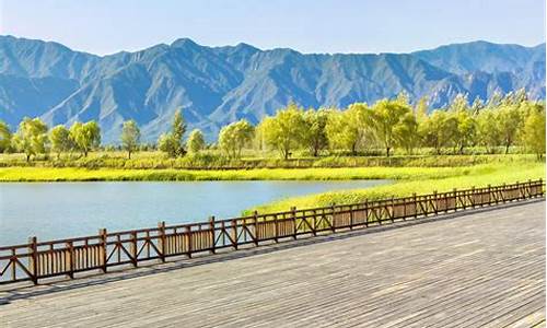 北京野鸭湖公园电话,北京野鸭湖湿地公园苍鹭