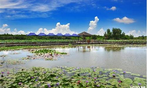 万顷沙城市湿地公园_万顷沙景点