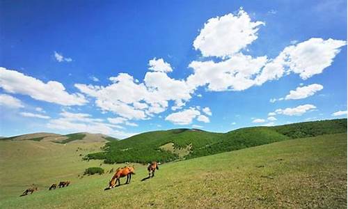 丰宁坝上草原旅游攻略2天自驾路线怎么走_丰宁坝上草原旅游攻略2天自驾路线