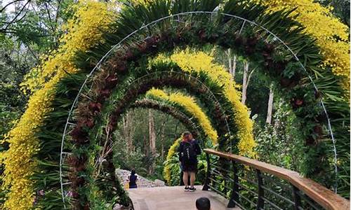 深圳仙湖植物园风景_深圳仙湖植物园攻略一日游最佳路线