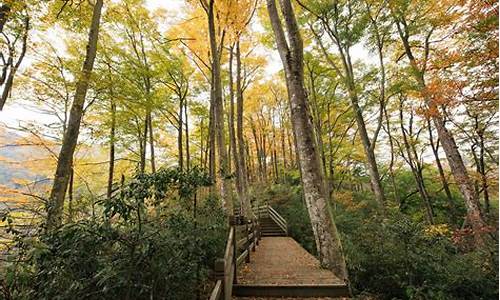 光雾山旅游攻略自驾游路线最新_光雾山景区门票预订