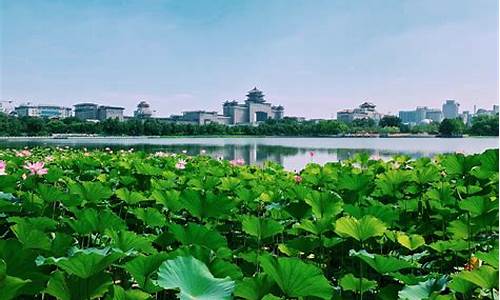 厦门莲花山公园_厦门莲花公园在哪