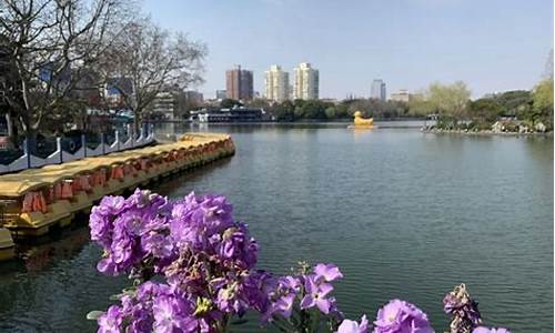 上海长风公园门票是多少海洋水族馆,上海长风公园海洋馆门票多少