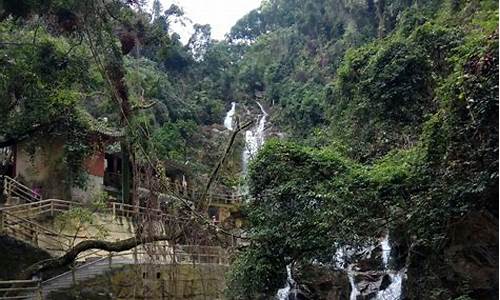 鼎湖山风景区旅游攻略_鼎湖山旅游攻略路线