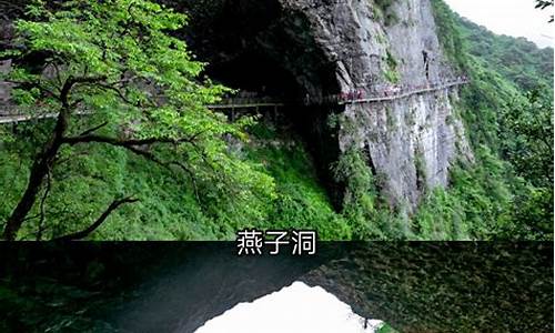 金佛山风景区一日游攻略,金佛山夏季旅游攻略