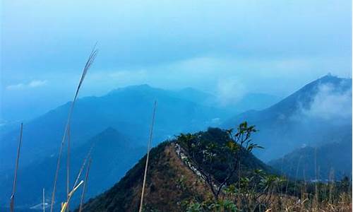 梧桐山旅游攻略推荐理由,梧桐山旅游攻略推荐