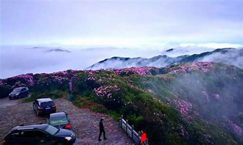 双牌阳明山攻略_双牌阳明山简介