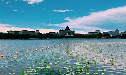 莲花池公园开放最新通知_莲花池公园在哪