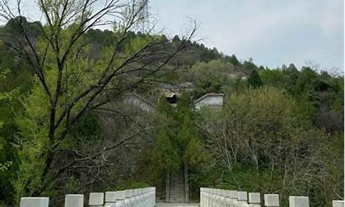 白水寺森林公园能野餐_白水寺森林公园暂停开放