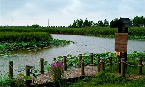 崇明湿地公园的门票多少钱一张-上海崇明岛湿地公园门票