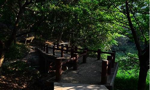 广州龙头山需要门票吗-广州龙头山森林公园要门票吗