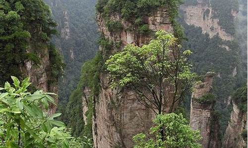 今年十一能去张家界旅游吗?免门票吗?-十一去张家界旅游攻略