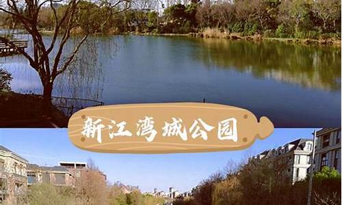 新江湾城公园露营-新江湾城湿地公园地址