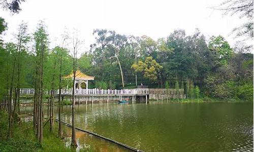 广州天鹿湖森林公园蝴蝶_摩托排放标准 国