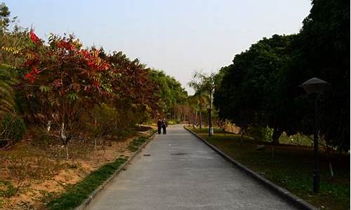 广州龙头山森林公园游玩攻略一日游,广州龙