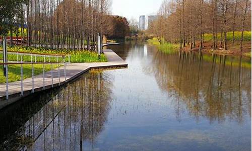 上海湿地公园,上海湿地公园哪个好玩