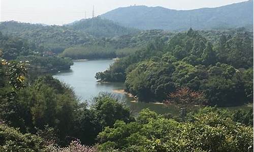 广州天鹿湖森林公园全攻略,摩托排放标准 