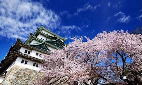 日本旅游景点排名_日本十大旅游胜地
